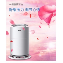 Haier/海爾 空氣類產(chǎn)品 HJS20U/AM1潤爽系列整機
